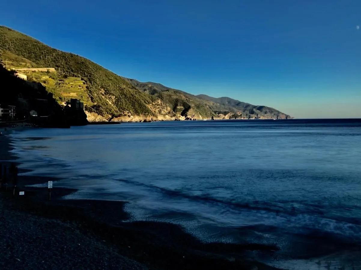 公寓 Ca Lea Beach House 蒙特罗索阿尔马雷